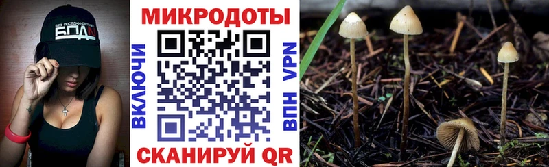 Псилоцибиновые грибы мухоморы  blacksprut зеркало  Красноуральск  купить  